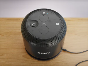 Sony BSP10 Rechargeable Portable Wireless Bluetooth 3D Model