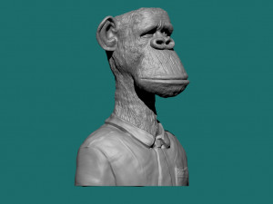 BROAD APE NFT MONKEY 3D Model