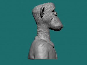 BROAD APE NFT MONKEY 3D Model