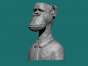 BROAD APE NFT MONKEY 3D Model
