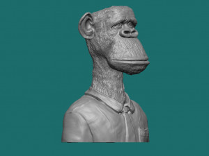 BROAD APE NFT MONKEY 3D Model