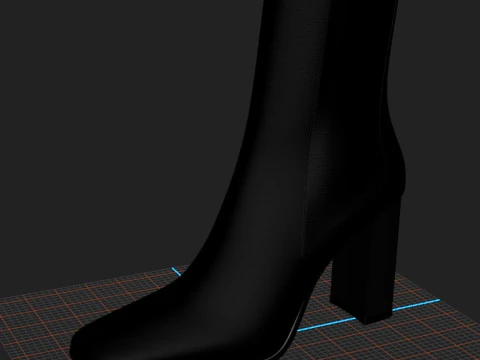 FEMALE BOOTS 3D Model