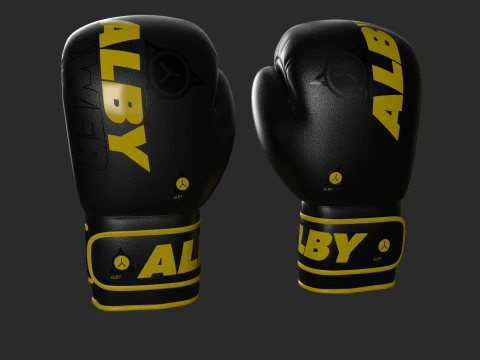 GUANTES DE BOXEO Modelo 3D