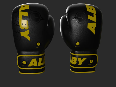 BOXING GLOVES 3D Model