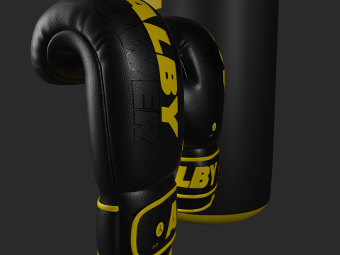 BOXING GLOVES 3D Model