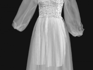 Silver chiffon dress 3D 模型