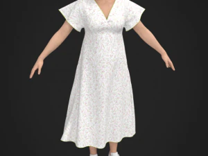 为杰出设计师设计的礼服 3D 模型