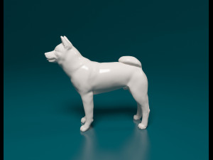 Akita Inu dog Modèles 3D en vedette