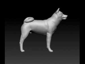 Akita Inu dog Modèles 3D en vedette