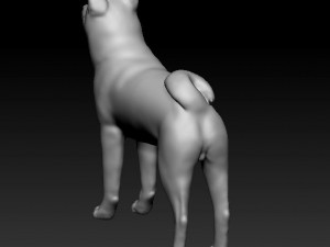 Akita Inu dog Modèles 3D en vedette