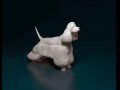 American Cocker Spaniel 3D प्रिंट मॉडल
