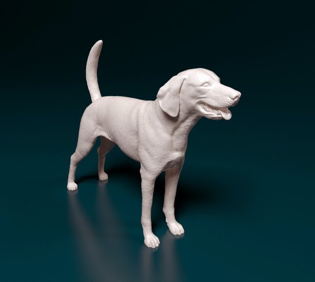 American Foxhound Modelo de Impressão 3D .c4d .max .obj .3ds .fbx .stl .blend 