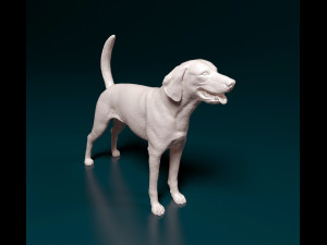 American Foxhound Modelo de impresión 3D