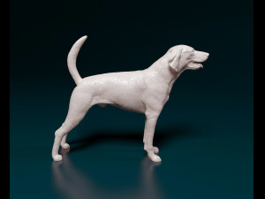 American Foxhound Modelo de Impressão 3D