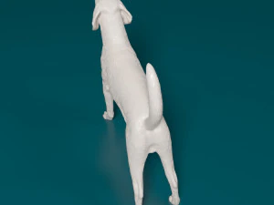American Foxhound 3D Print Model
