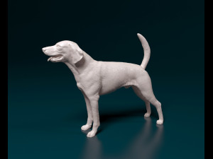 American Foxhound Modelo de Impressão 3D
