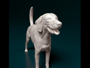 American Foxhound Modelo de Impressão 3D