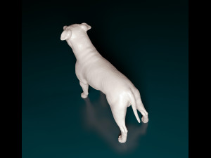 Amstaff 3D 프린트 모델