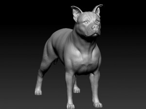 Amstaff 3D 프린트 모델