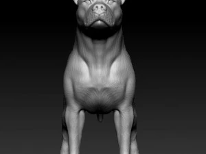 Amstaff 3D Print Model