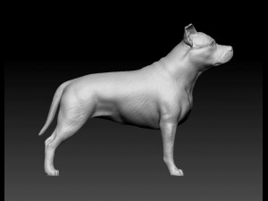 Amstaff 3D 프린트 모델