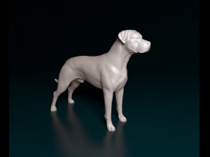 Argentino Dog Modelo de impresión 3D