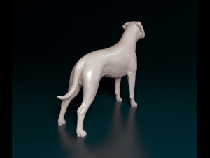 Argentino Dog 3D 打印模型