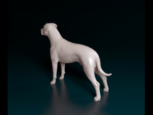 Argentino Dog 3D 打印模型