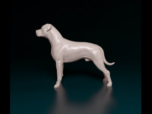 Argentino Dog 3D 打印模型