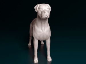 Argentino Dog 3D 打印模型