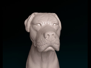 Argentino Dog 3D 打印模型
