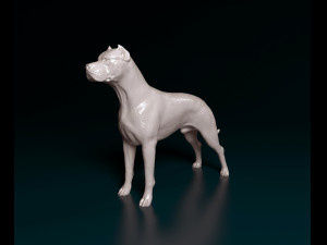 Argentino Dog 3D 打印模型
