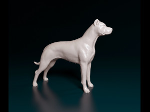 Argentino Dog 3D 打印模型