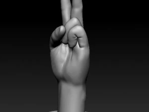 ASL numbers 0-10 3D Print Model