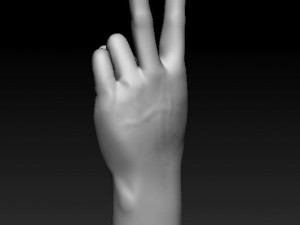 ASL numbers 0-10 3D 打印模型