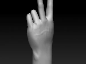 ASL numbers 0-10 3D Print Model