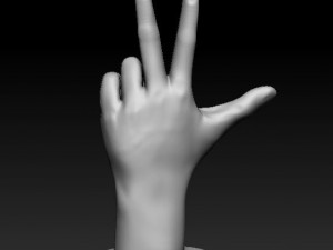 ASL numbers 0-10 3D 打印模型