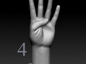 ASL numbers 0-10 3D 打印模型