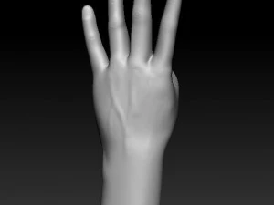 ASL numbers 0-10 3D Print Model