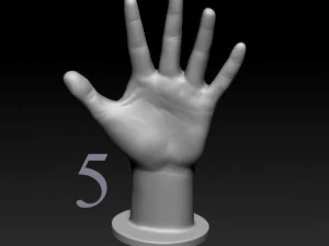 ASL numbers 0-10 3D Print Model
