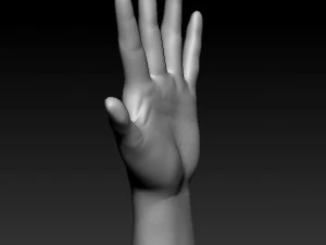 ASL numbers 0-10 3D Print Model