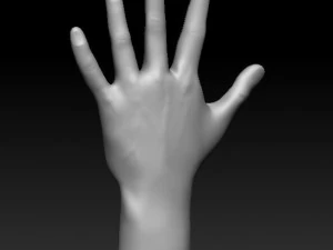 ASL numbers 0-10 3D Print Model
