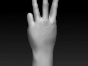 ASL numbers 0-10 3D Print Model