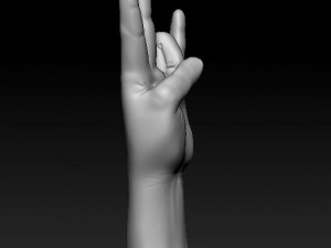 ASL numbers 0-10 3D 打印模型