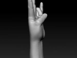 ASL numbers 0-10 3D Print Model