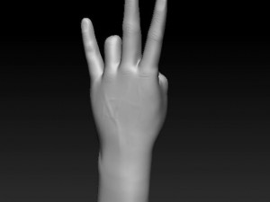 ASL numbers 0-10 3D 打印模型