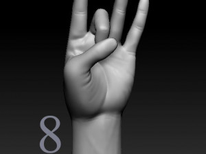 ASL numbers 0-10 3D 打印模型