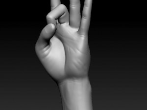 ASL numbers 0-10 3D 打印模型