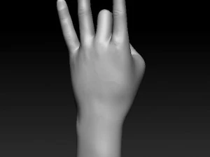ASL numbers 0-10 3D Print Model