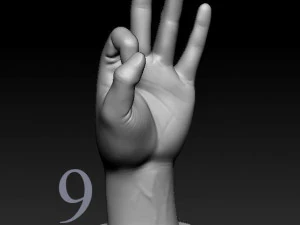 ASL numbers 0-10 3D Print Model